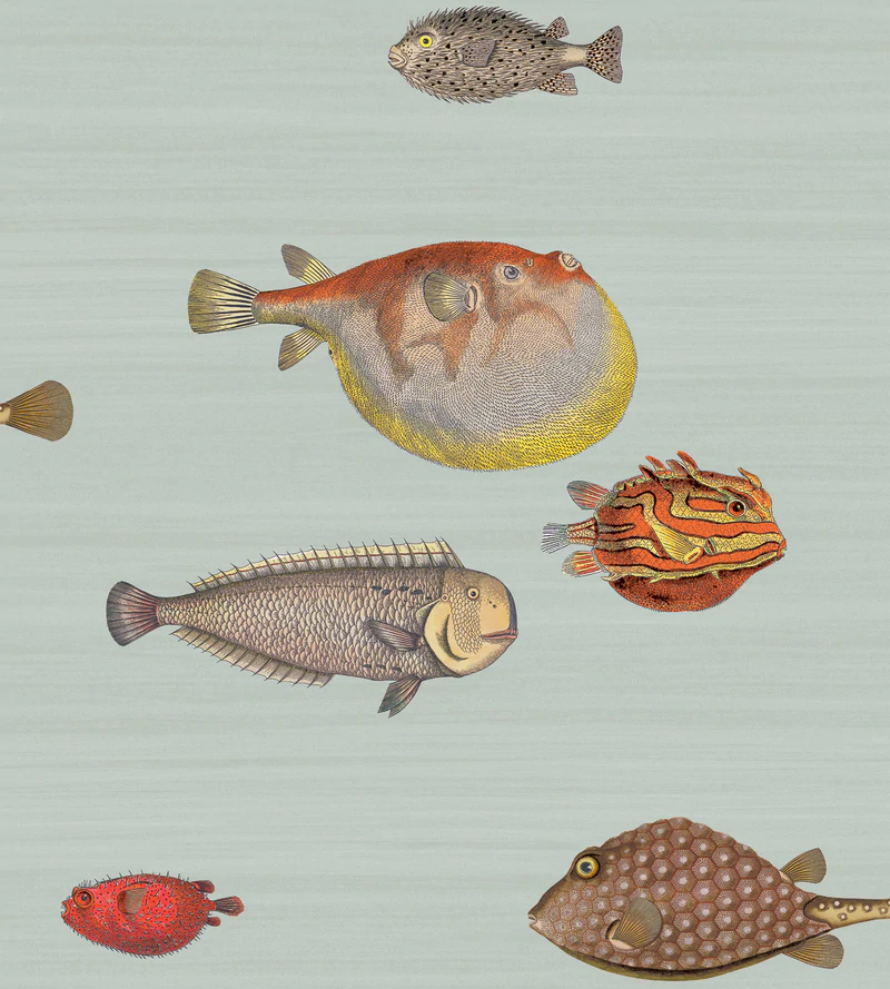 Acquario Tapete - 97/10030 - Cole&Son - Fornasetti Senza Tempo-97-10030-Cole&Son-Fornasetti Selection Acquario Tapete - 97/10030 - Cole&Son - Fornasetti Senza Tempo von Cole&Son aus der Kategorie Fornasetti Selection mit der Artikelnummer 97-10030
