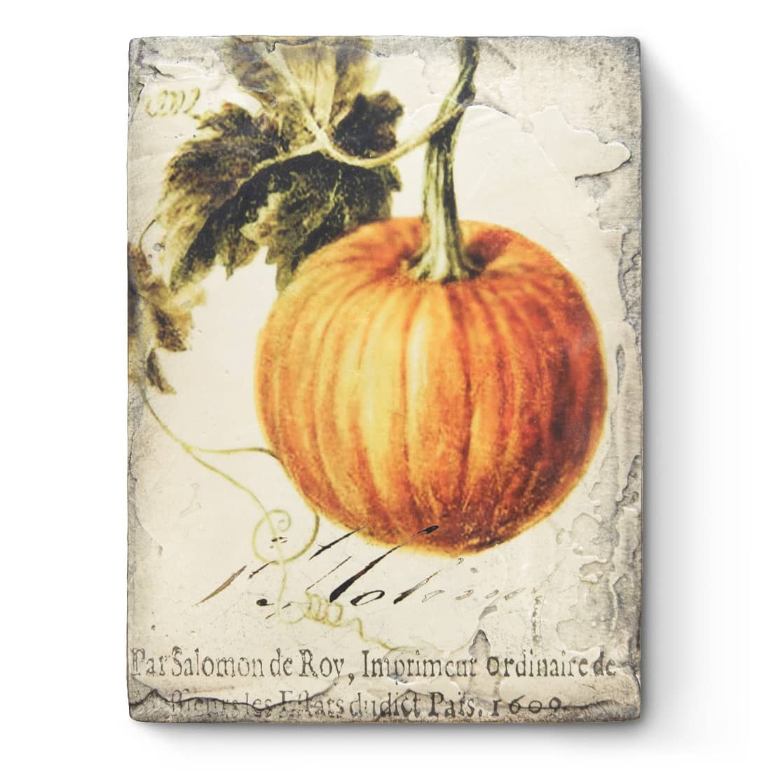 T619 - Pumpkin - Memory Block Sid Dickens von Sid Dickens aus der Kategorie 2023 - Season of Reflection mit der Artikelnummer T619