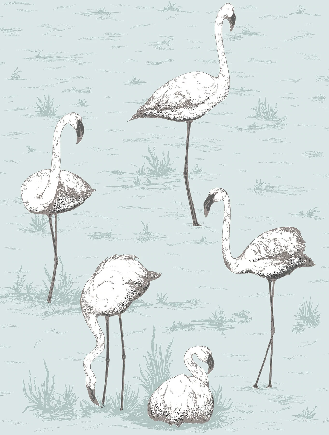 Flamingos Tapete - 95/8047 - Cole&Son - The Contemporary Collection
