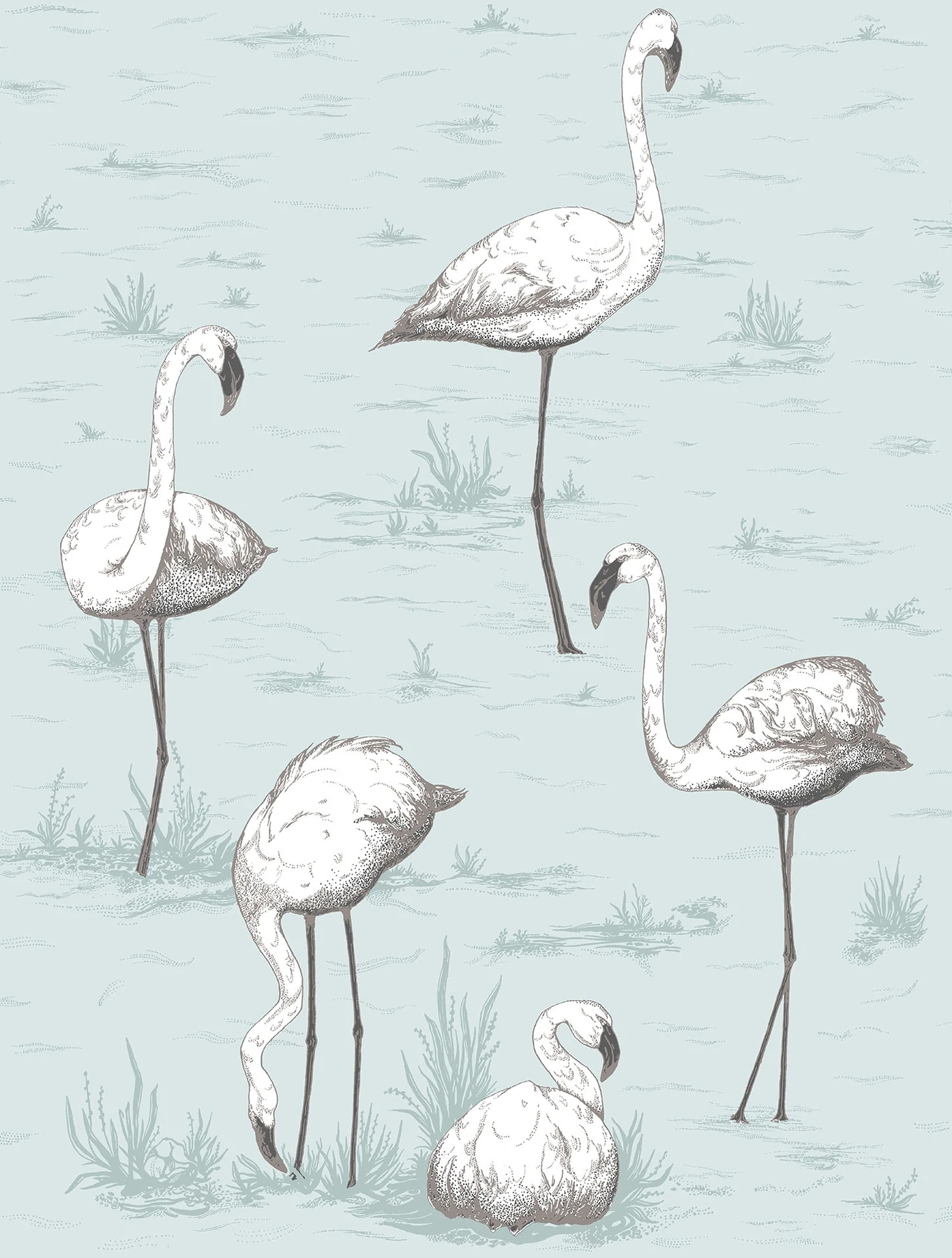 Flamingos Tapete - 95/8047 - Cole&Son - The Contemporary Collection von Cole&Son aus der Kategorie The Contemporary Collection mit der Artikelnummer 95-8047