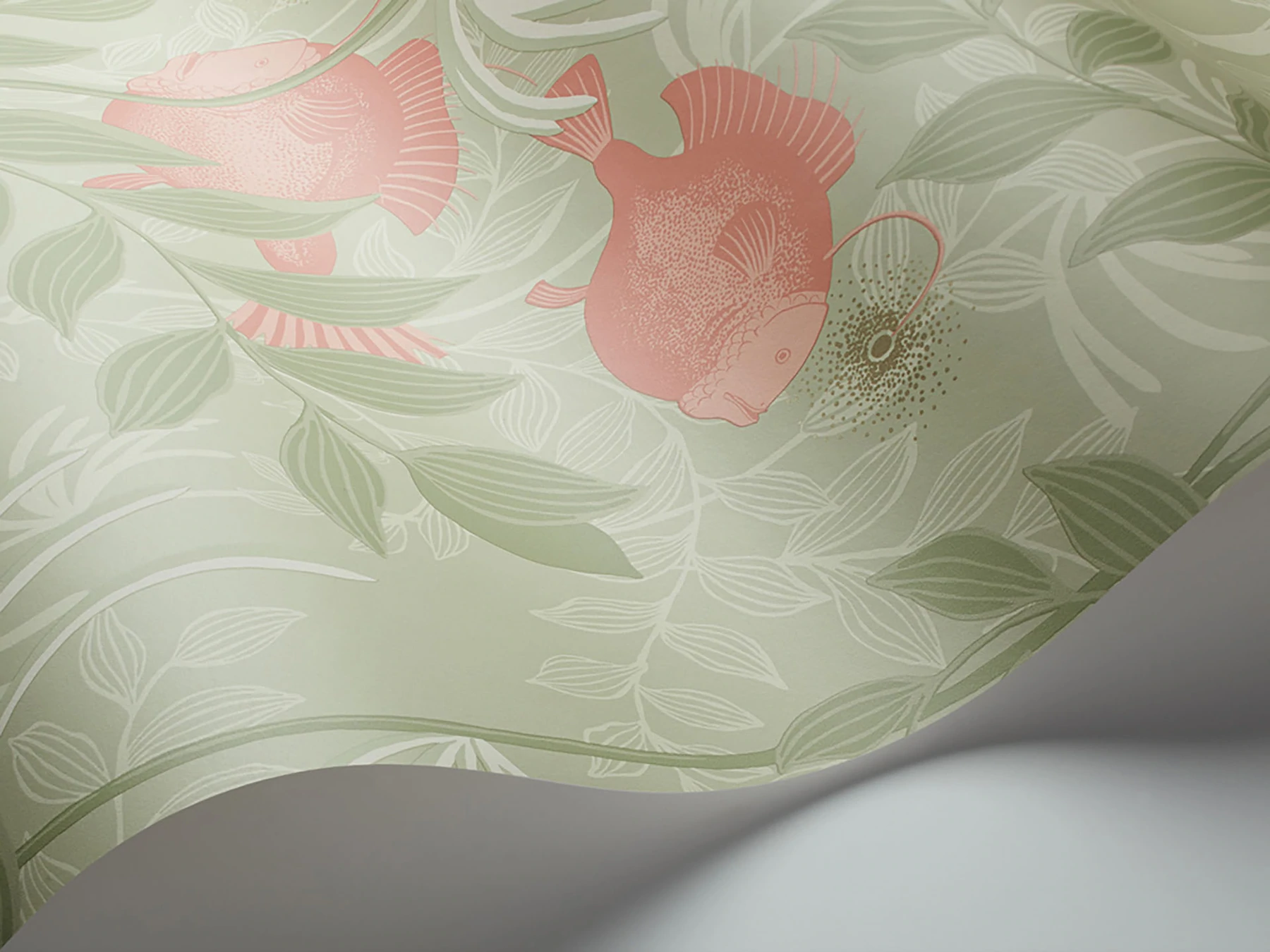 Nautilus Tapete - 103/4020 - Cole&Son - Whimsical von Cole&Son aus der Kategorie Whimsical mit der Artikelnummer 103-4020