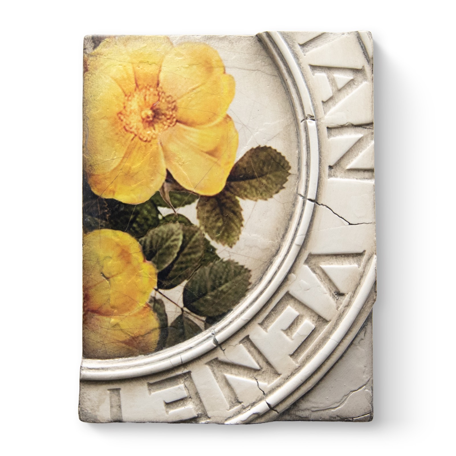 T556 - Rosa - Memory Block Sid Dickens von Sid Dickens aus der Kategorie Memory Blocks mit der Artikelnummer T556