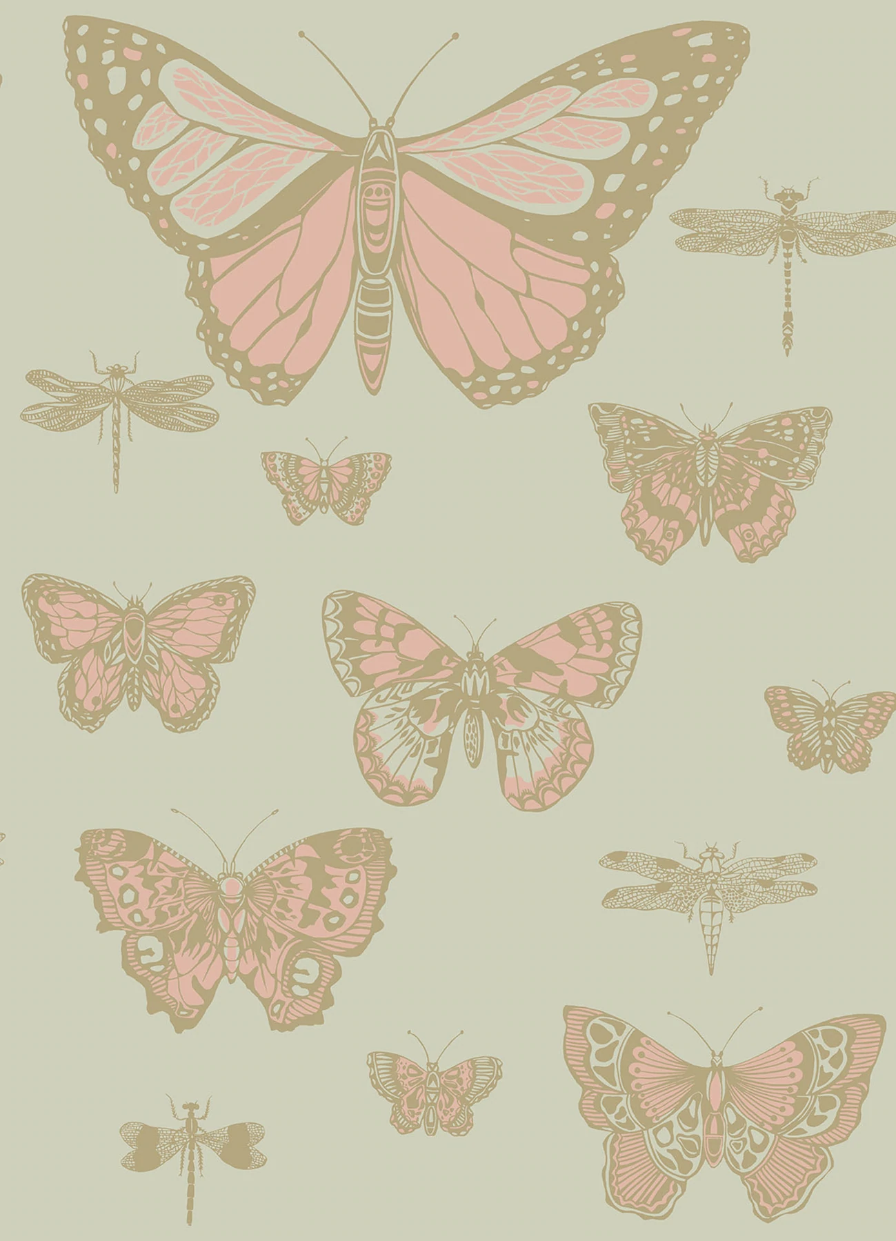 Butterflies & Dragonflies Tapete - 103/15063 - Cole&Son - Whimsical