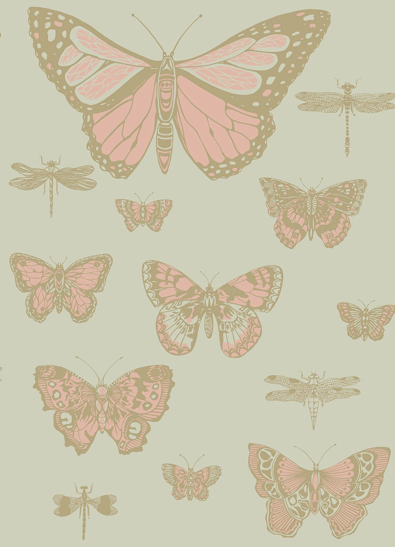 Butterflies & Dragonflies Tapete - 103/15063 - Cole&Son - Whimsical von Cole&Son aus der Kategorie Whimsical mit der Artikelnummer 103-15063