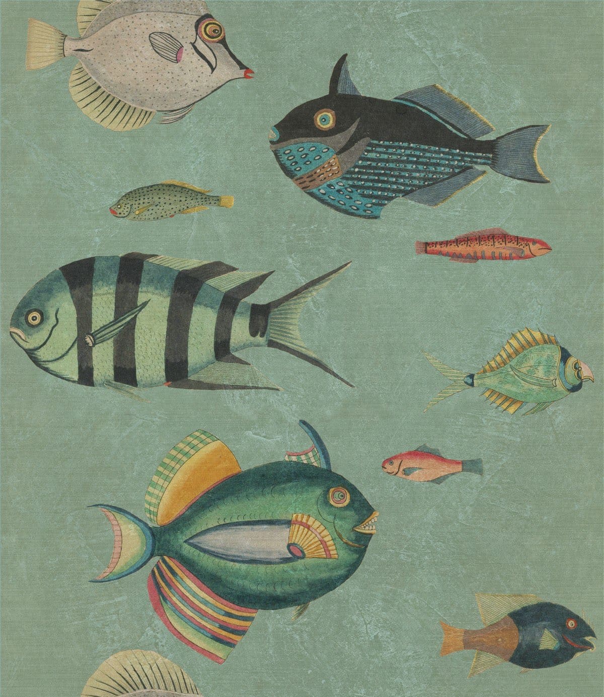 Tapete POISSONS - Mindthegap-WP20181-MINDTHEGAP-MIND THE GAP Tapete POISSONS - Mindthegap von MINDTHEGAP aus der Kategorie MIND THE GAP mit der Artikelnummer WP20181