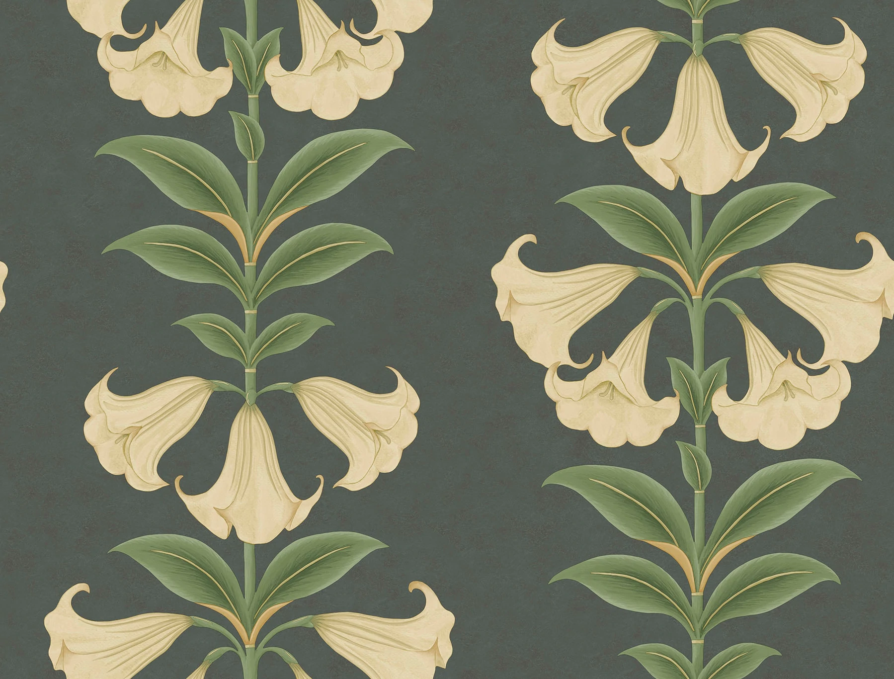 Angel's Trumpet Tapete - 117/3006 - Cole&Son - Seville-117-3006-Cole&Son-Seville Angel's Trumpet Tapete - 117/3006 - Cole&Son - Seville von Cole&Son aus der Kategorie Seville mit der Artikelnummer 117-3006