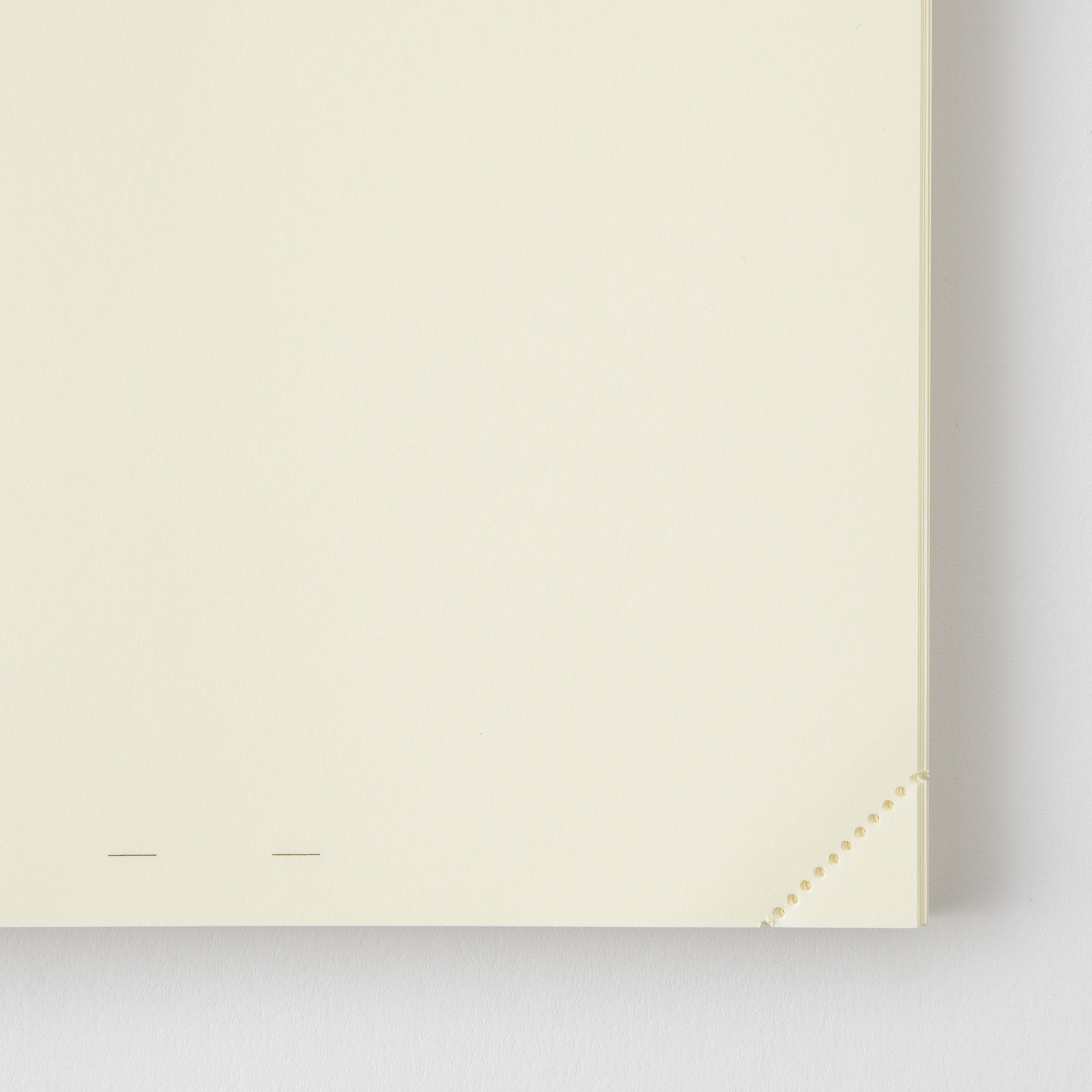 MD Notebook Journal - A5 - Codex 1 Day 1 Page - blanko / blank - Midori Notizbuch