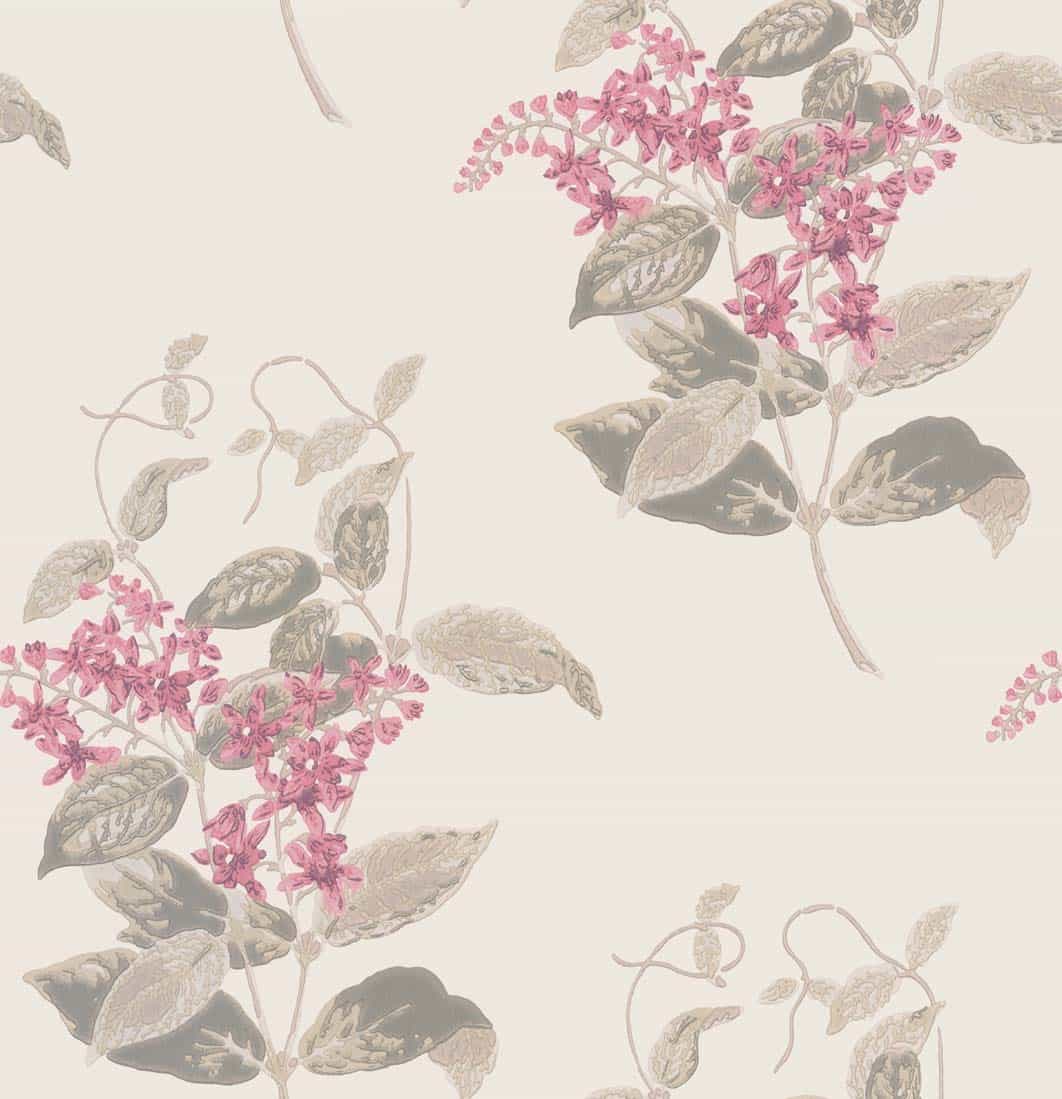 Madras Violet Tapete - 100/12058 - Cole&Son - Archive Anthology von Cole&Son aus der Kategorie Archive Anthology mit der Artikelnummer 100-12058