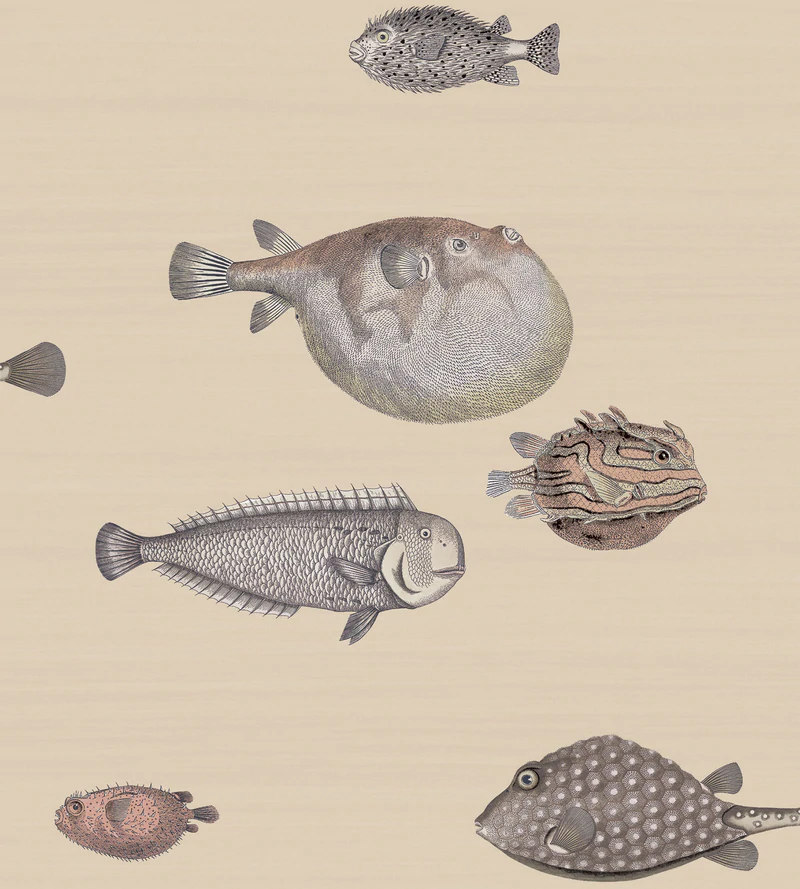 Acquario Tapete - 114/16033 - Cole&Son - Fornasetti Senza Tempo-114-16033-Cole&Son-Fornasetti Selection Acquario Tapete - 114/16033 - Cole&Son - Fornasetti Senza Tempo von Cole&Son aus der Kategorie Fornasetti Selection mit der Artikelnummer 114-16033