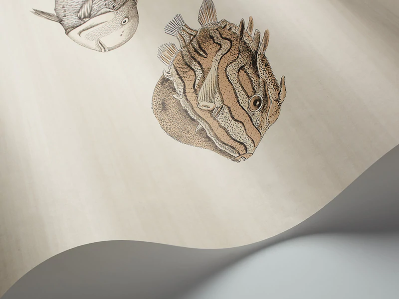 Acquario Tapete - 114/16033 - Cole&Son - Fornasetti Senza Tempo-114-16033-Cole&Son-Fornasetti Selection Acquario Tapete - 114/16033 - Cole&Son - Fornasetti Senza Tempo von Cole&Son aus der Kategorie Fornasetti Selection mit der Artikelnummer 114-16033