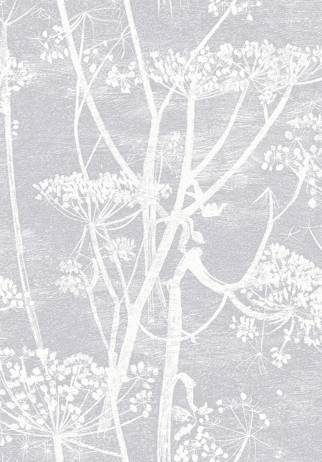 Cow Parsley Tapete - 95/9049 - Cole&Son - The Contemporary Collection