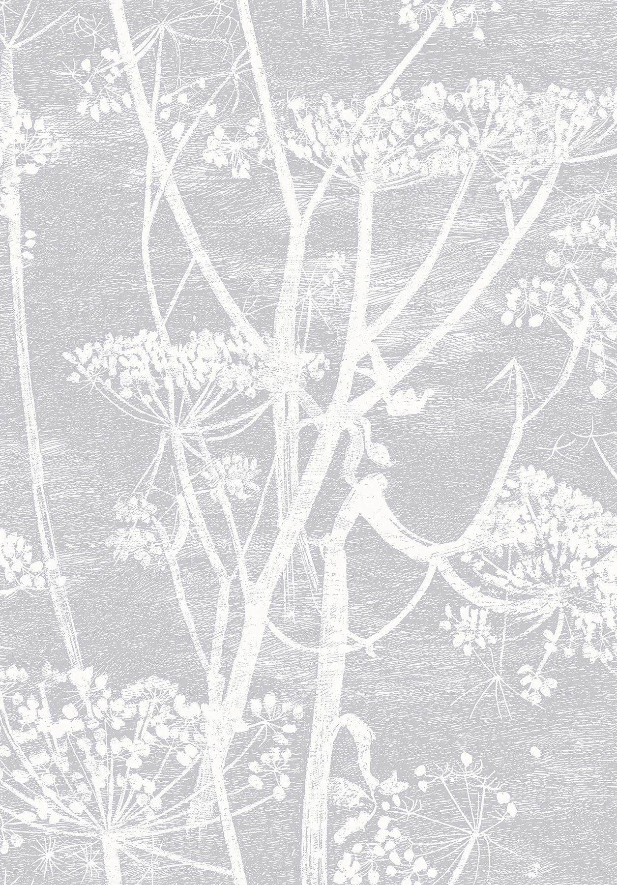 Cow Parsley Tapete - 95/9049 - Cole&Son - The Contemporary Collection von Cole&Son aus der Kategorie The Contemporary Collection mit der Artikelnummer 95-9049