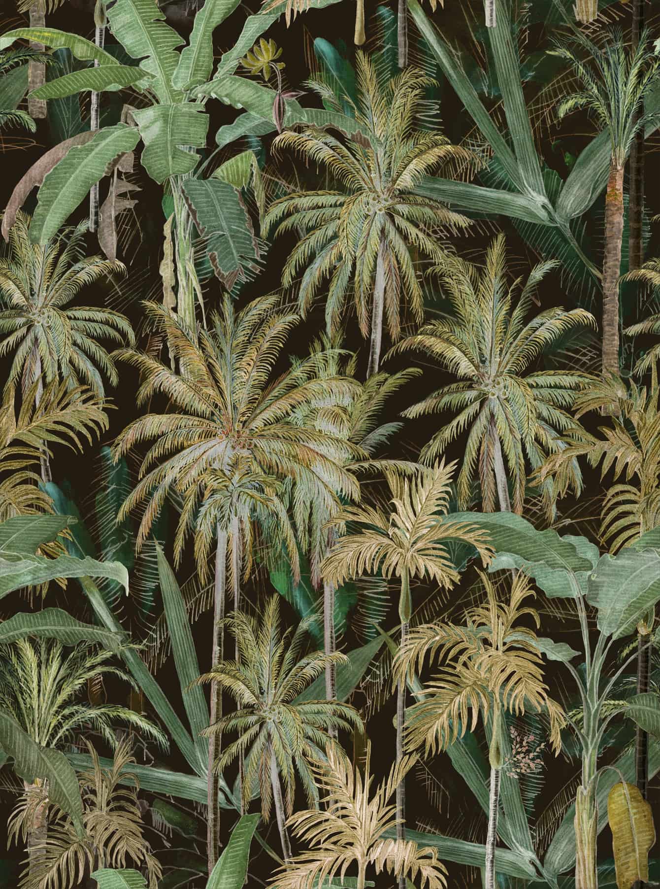 Tapete THE JUNGLE Anthracite-WP20523-MINDTHEGAP-MIND THE GAP Tapete THE JUNGLE Anthracite von MINDTHEGAP aus der Kategorie MIND THE GAP mit der Artikelnummer WP20523