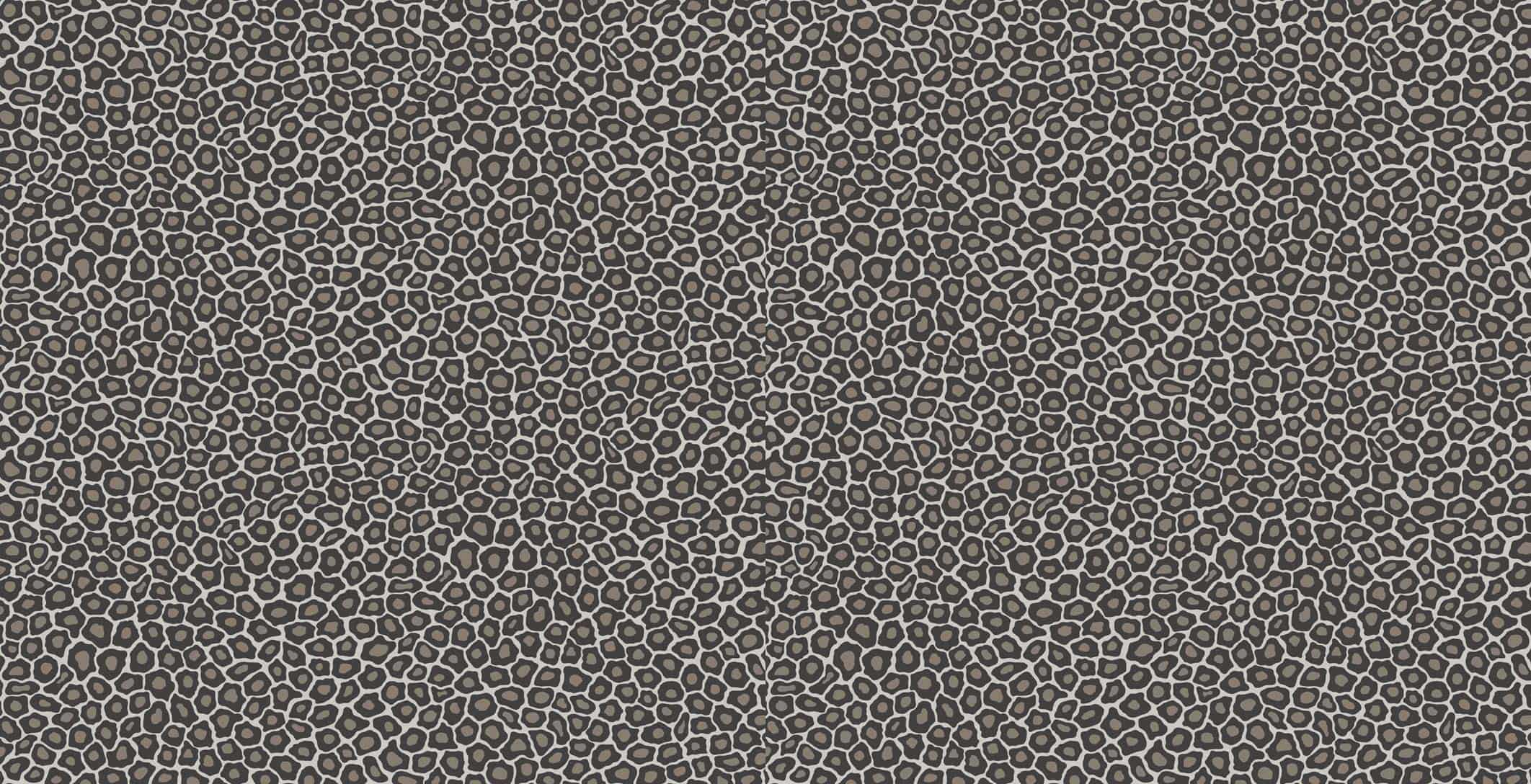 Senzo Spot Tapete - 109/6031 - Cole&Son - The Ardmore Collection von Cole&Son aus der Kategorie Ardmore mit der Artikelnummer 109-6031