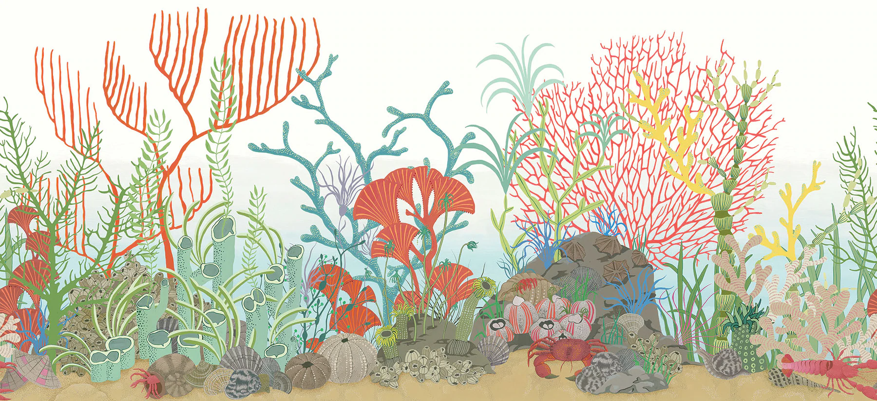Archipelago Border Tapete - 103/12054 - Cole&Son - Whimsical-103-12054-Cole&Son-Whimsical Archipelago Border Tapete - 103/12054 - Cole&Son - Whimsical von Cole&Son aus der Kategorie Whimsical mit der Artikelnummer 103-12054