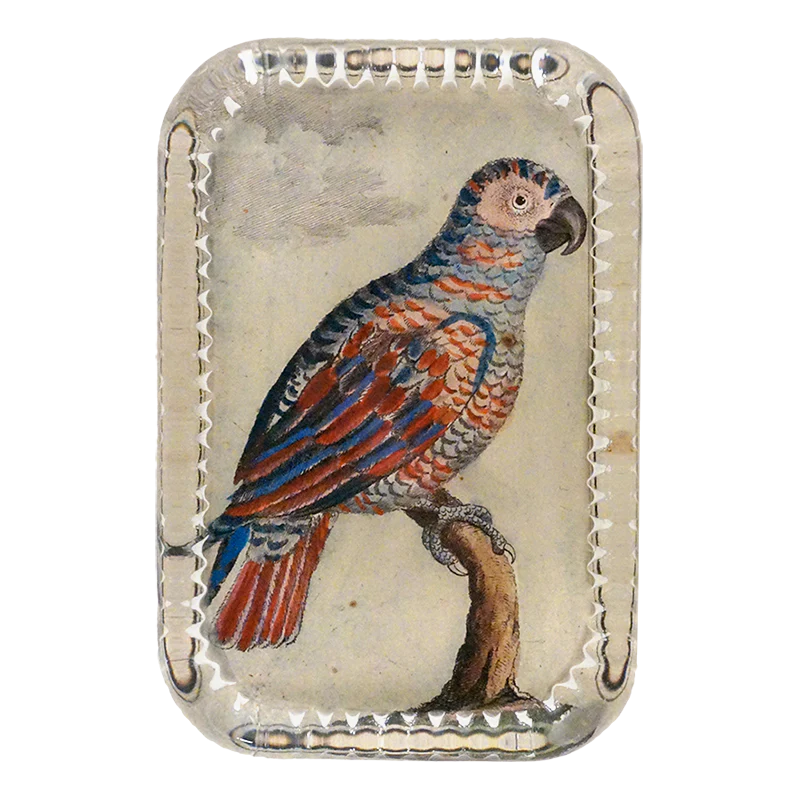 Parrot #9 - Briefbeschwerer - Dotted Edge Paperweight von John Derian