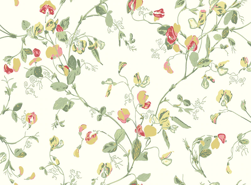 Sweet Pea Tapete - 100/6027 - Cole&Son - Archive Anthology von Cole&Son aus der Kategorie Archive Anthology mit der Artikelnummer 100-6027