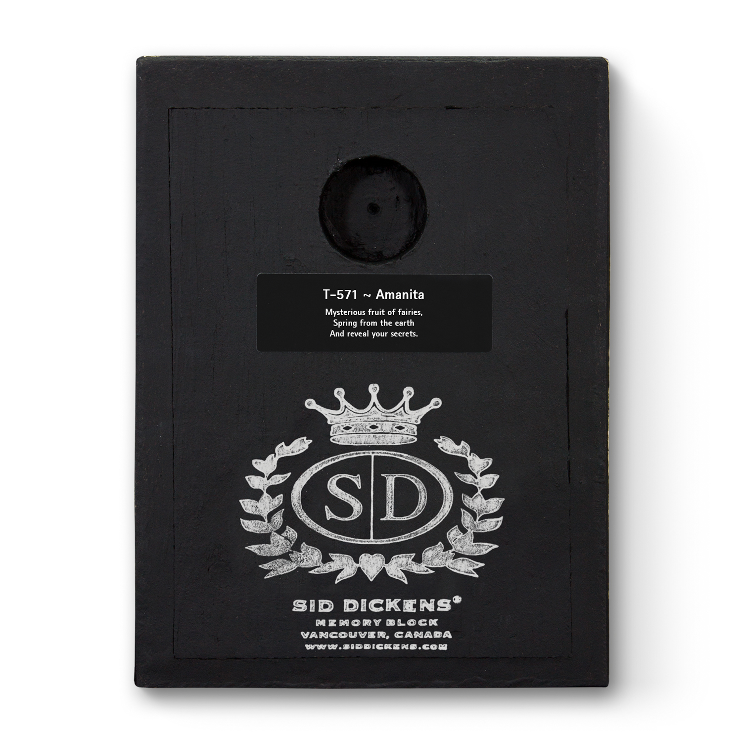 T571 - Amanita - Memory Block Sid Dickens von Sid Dickens aus der Kategorie 2022 - FALL mit der Artikelnummer T571