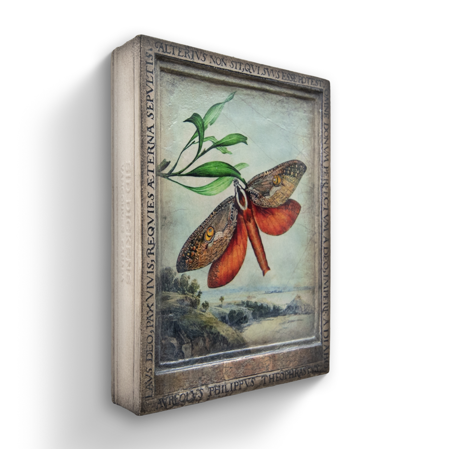 T567 - Identity - Memory Block Sid Dickens-T567-Sid Dickens-2022 - FALL T567 - Identity - Memory Block Sid Dickens von Sid Dickens aus der Kategorie 2022 - FALL mit der Artikelnummer T567