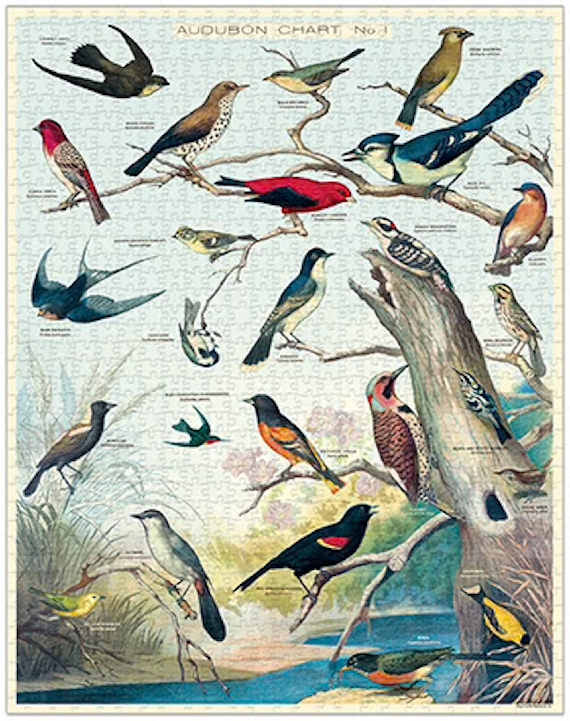 Birds - Vintage Puzzle von Cavallini - 1.000 Teile Birds - Vintage Puzzle von Cavallini - 1.000 Teile
