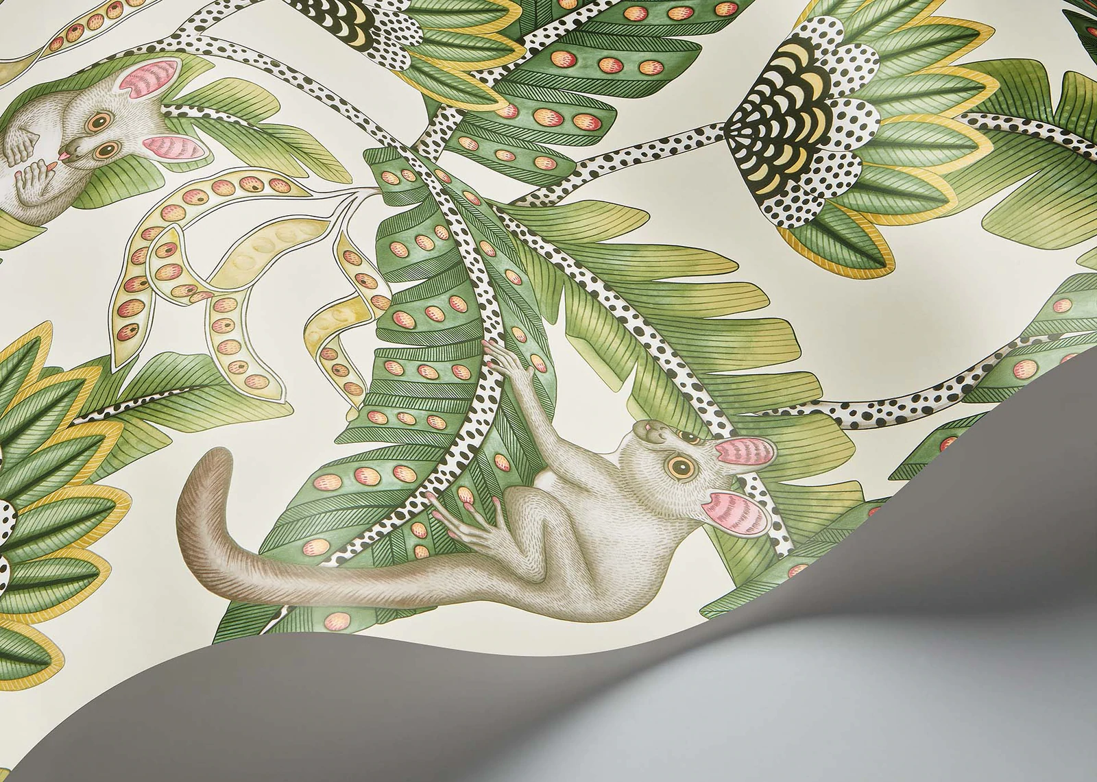 Bush Baby Tapete - 119/7035 - Cole&Son - Ardmore - Jabula-119-7035-Cole&Son-Ardmore Jabula Bush Baby Tapete - 119/7035 - Cole&Son - Ardmore - Jabula von Cole&Son aus der Kategorie Ardmore Jabula mit der Artikelnummer 119-7035