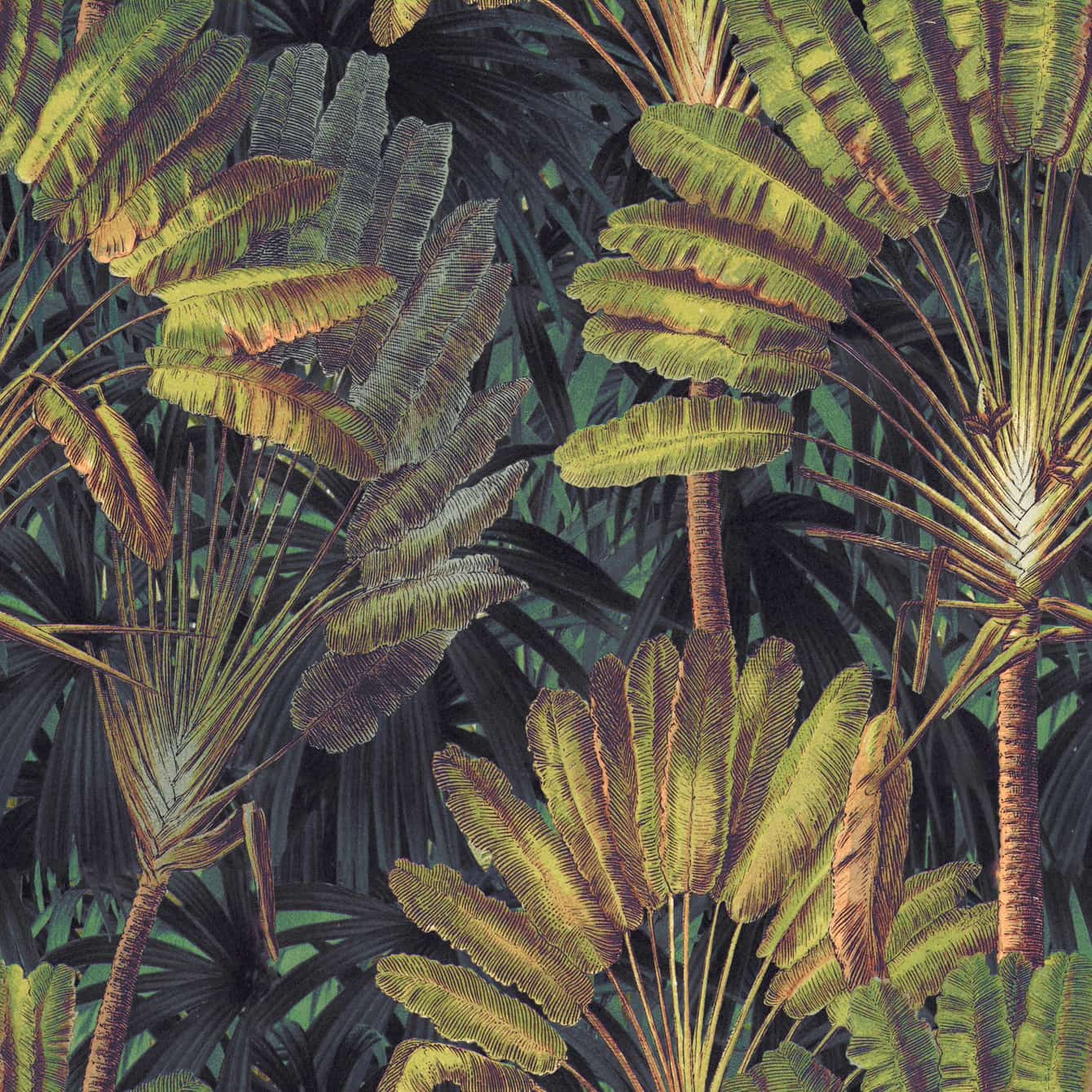 Tapete TRAVELLER'S PALM Sunset-WP20526-MINDTHEGAP-MIND THE GAP Tapete TRAVELLER'S PALM Sunset von MINDTHEGAP aus der Kategorie MIND THE GAP mit der Artikelnummer WP20526