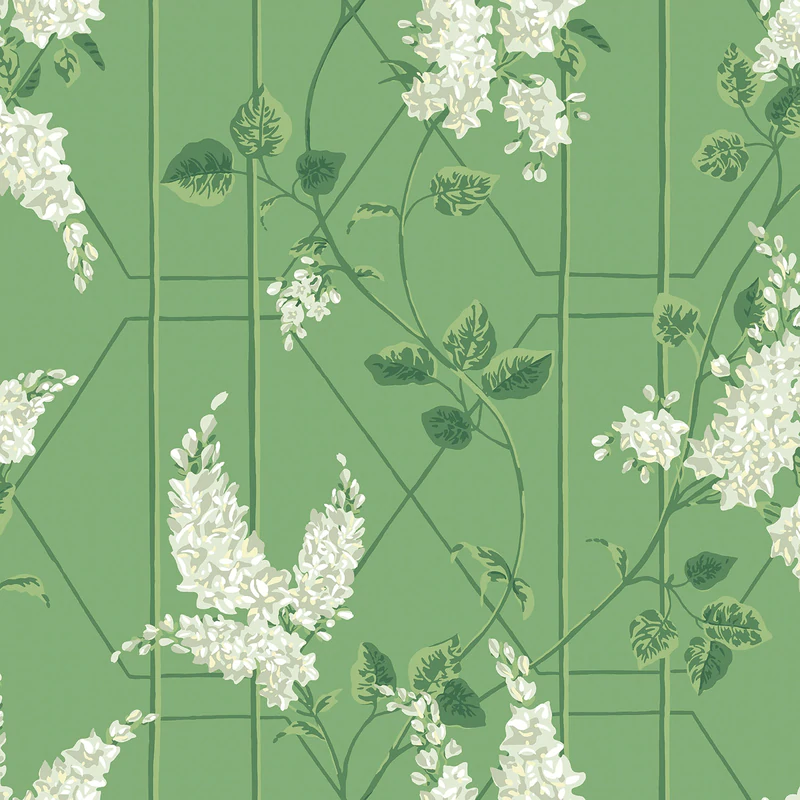 Wisteria Tapete - 115/5016 - Cole&Son - Botanical ~Botanica~-115-5016-Cole&Son-Botanical Botanica Wisteria Tapete - 115/5016 - Cole&Son - Botanical ~Botanica~ von Cole&Son aus der Kategorie Botanical Botanica mit der Artikelnummer 115-5016