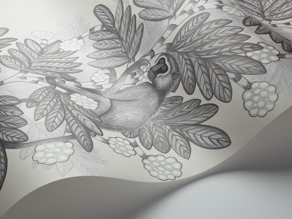 Acacia Tapete - 109/11053 - Cole&Son - The Ardmore Collection-109-11053-Cole&Son-Ardmore Acacia Tapete - 109/11053 - Cole&Son - The Ardmore Collection von Cole&Son aus der Kategorie Ardmore mit der Artikelnummer 109-11053