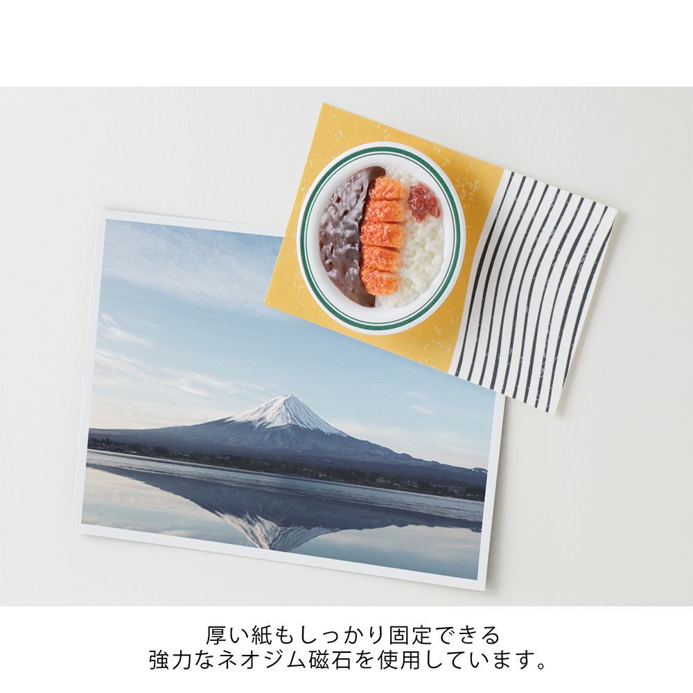 Katsu Curry - Miniature Magnet von Midori