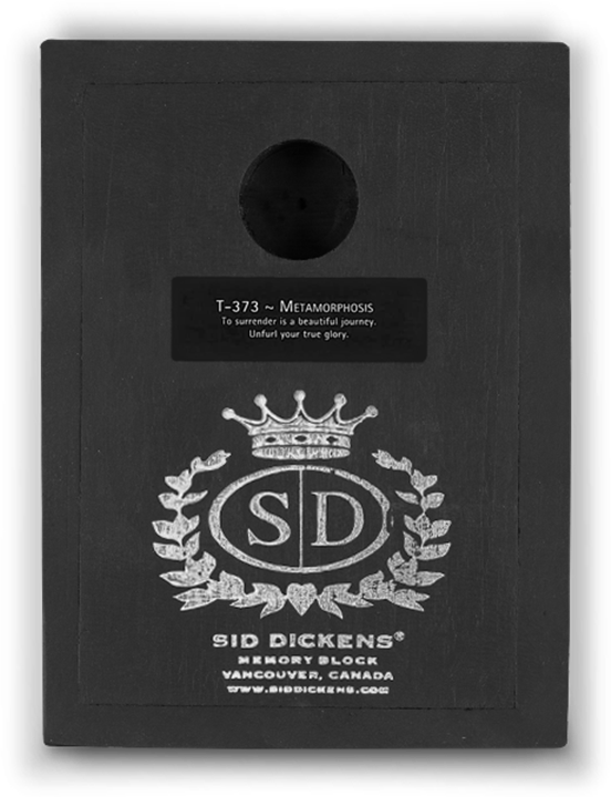 T373 - Metamorphosis - Memory Block Sid Dickens