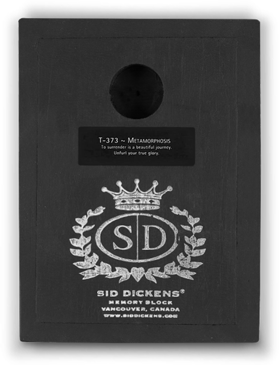 T373 - Metamorphosis - Memory Block Sid Dickens von Sid Dickens aus der Kategorie Memory Blocks mit der Artikelnummer T373