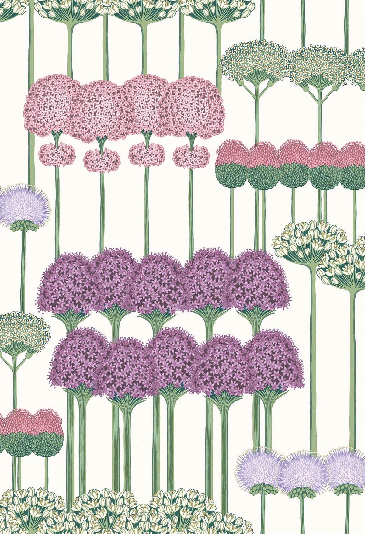 Allium Tapete - 115/12034 - Cole&Son - Botanical ~Botanica~-115-12034-Cole&Son-Botanical Botanica Allium Tapete - 115/12034 - Cole&Son - Botanical ~Botanica~ von Cole&Son aus der Kategorie Botanical Botanica mit der Artikelnummer 115-12034