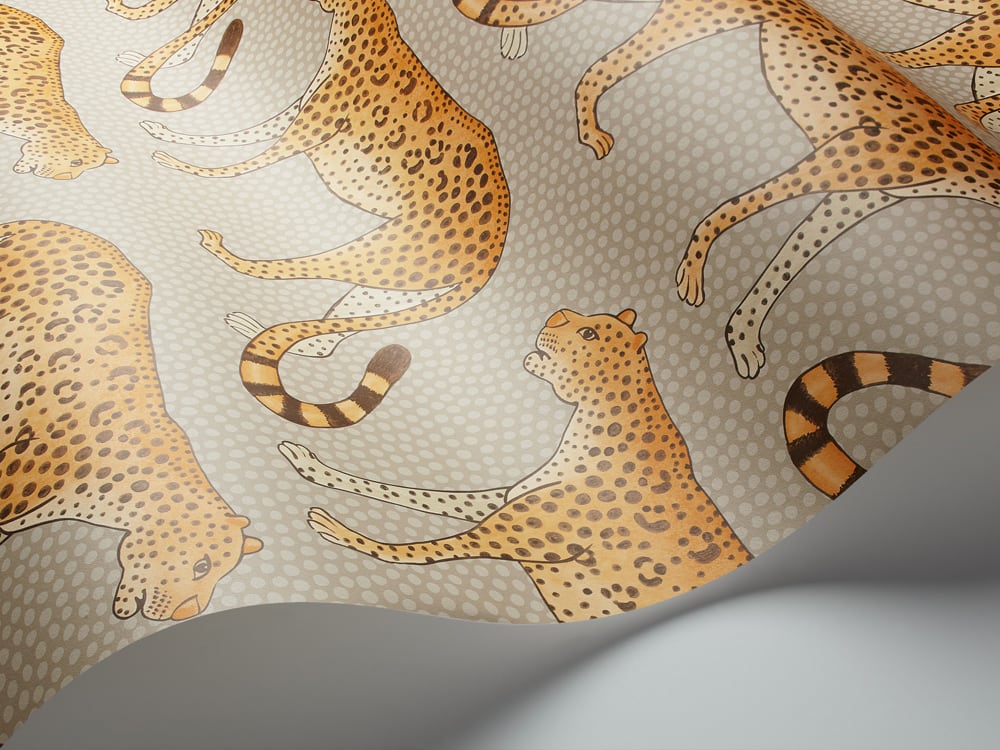 Leopard Walk Tapete - 109/2010 - Cole&Son - The Ardmore Collection-109-2010-Cole&Son-Ardmore Leopard Walk Tapete - 109/2010 - Cole&Son - The Ardmore Collection von Cole&Son aus der Kategorie Ardmore mit der Artikelnummer 109-2010