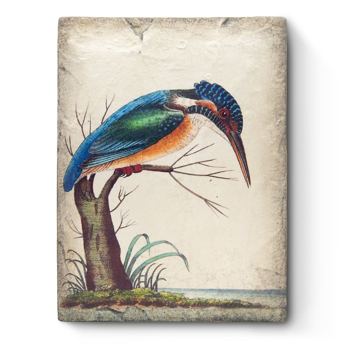 T599 - Kingfisher - Memory Block Sid Dickens von Sid Dickens aus der Kategorie 2023 - Paradise mit der Artikelnummer T599