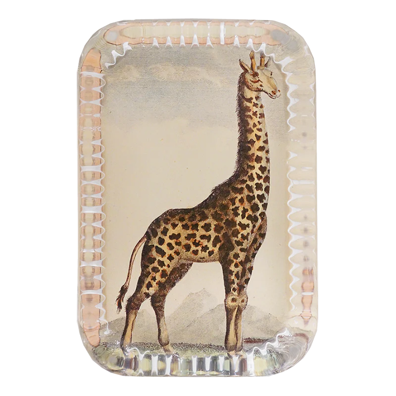 Giraffe - Briefbeschwerer - Dotted Edge Paperweight von John Derian-DRP290 -John Derian-Paperweights - John Derian Giraffe - Briefbeschwerer - Dotted Edge Paperweight von John Derian von John Derian aus der Kategorie Paperweights - John Derian mit der Artikelnummer DRP290