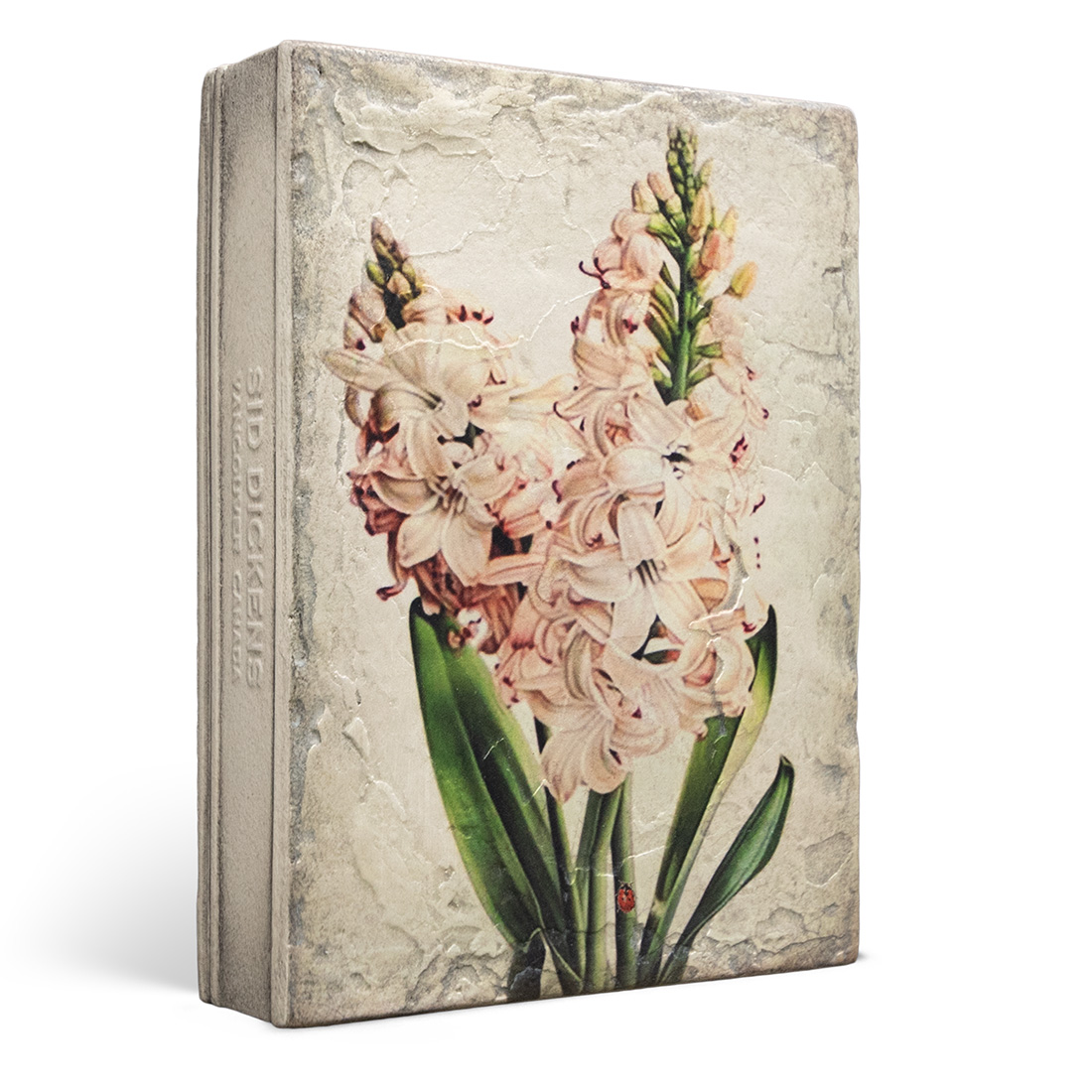 T636 - Hyacinth - Memory Block Sid Dickens von Sid Dickens aus der Kategorie 2024 Spring Collection mit der Artikelnummer T636