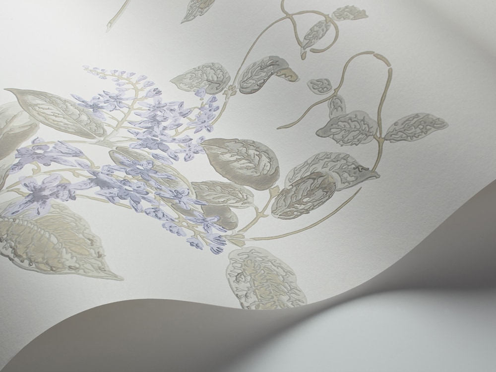 Madras Violet Tapete - 100/12057 - Cole&Son - Archive Anthology von Cole&Son aus der Kategorie Archive Anthology mit der Artikelnummer 100-12057