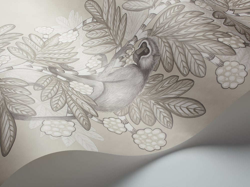 Acacia Tapete - 109/11054 - Cole&Son - The Ardmore Collection-109-11054-Cole&Son-Ardmore Acacia Tapete - 109/11054 - Cole&Son - The Ardmore Collection von Cole&Son aus der Kategorie Ardmore mit der Artikelnummer 109-11054