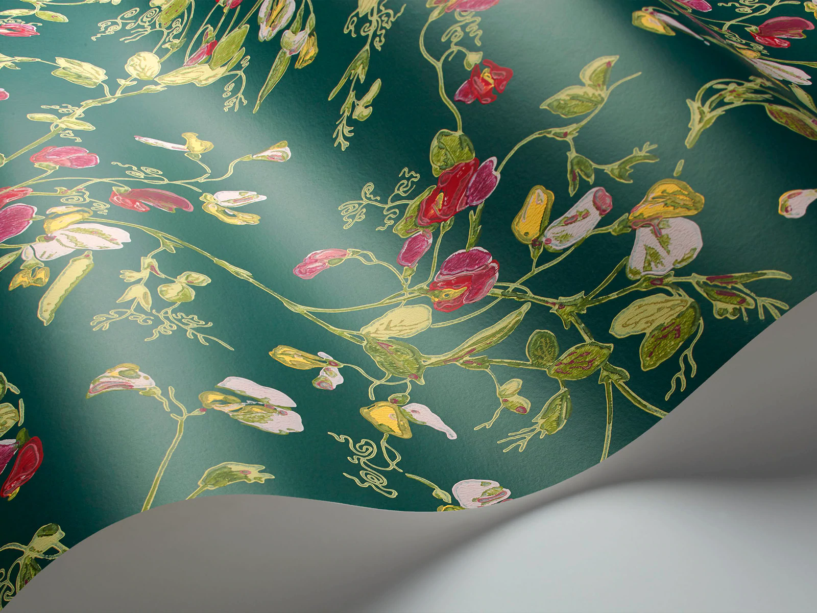 Sweet Pea Tapete - 115/11033 - Cole&Son - Botanical ~Botanica~ von Cole&Son aus der Kategorie Botanical Botanica mit der Artikelnummer 115-11033