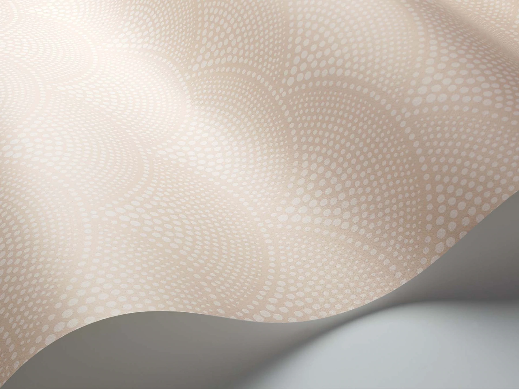 Feather Fan Tapete - 112/10035 - Cole&Son - Icons-112-10035-Cole&Son-Icons Feather Fan Tapete - 112/10035 - Cole&Son - Icons von Cole&Son aus der Kategorie Icons mit der Artikelnummer 112-10035