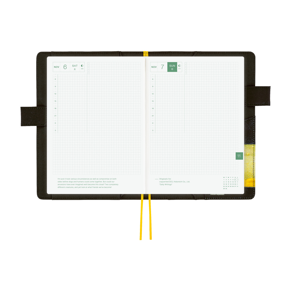 Hülle A5 Cousin – Akiko Miyakoshi: An Airport at Night | Hobonichi