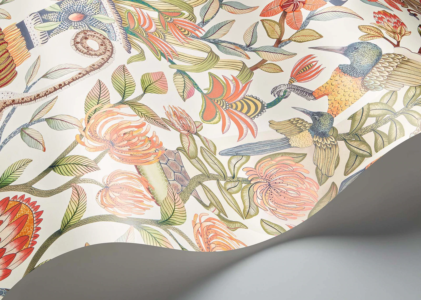 Protea Garden Tapete - 119/10043 - Cole&Son - Ardmore - Jabula-119-10043-Cole&Son-Ardmore Jabula Protea Garden Tapete - 119/10043 - Cole&Son - Ardmore - Jabula von Cole&Son aus der Kategorie Ardmore Jabula mit der Artikelnummer 119-10043