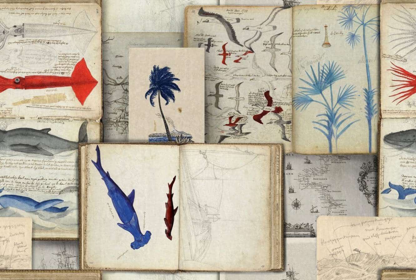 Tapete SEAMAN'S JOURNAL von MINDTHEGAP aus der Kategorie MIND THE GAP mit der Artikelnummer WP20562