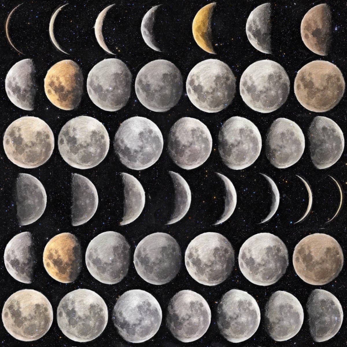 Tapete MOON PHASES