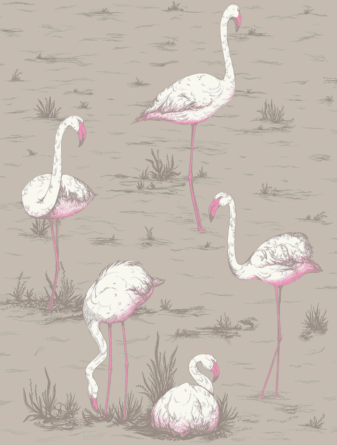 Flamingos Tapete - 66/6042 - Cole&Son - The Contemporary Collection von Cole&Son aus der Kategorie The Contemporary Collection mit der Artikelnummer 66-6042