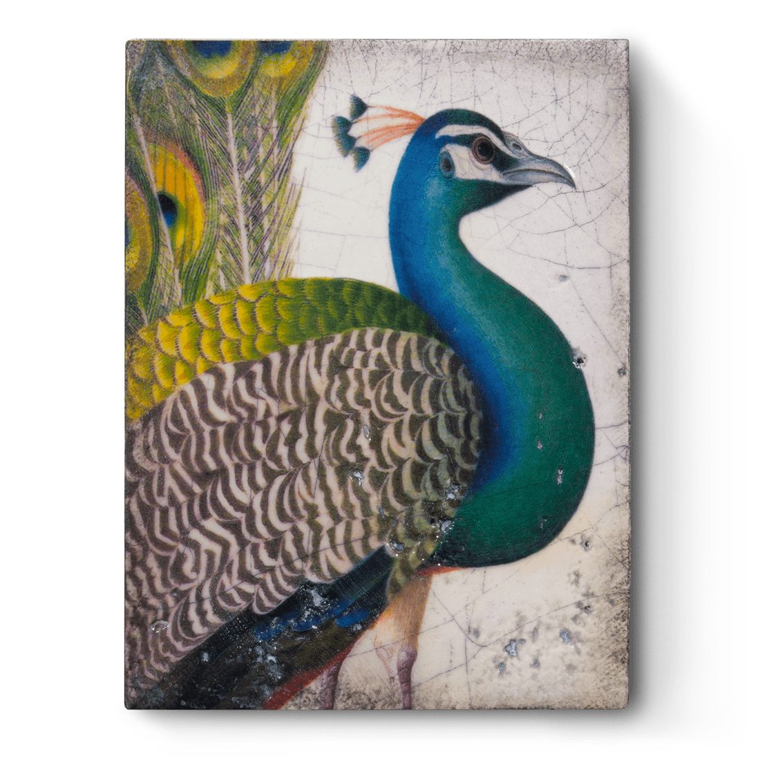 T287 - Fabled Bird - Memory Block Sid Dickens-T287-Sid Dickens-Memory Blocks T287 - Fabled Bird - Memory Block Sid Dickens von Sid Dickens aus der Kategorie Memory Blocks mit der Artikelnummer T287