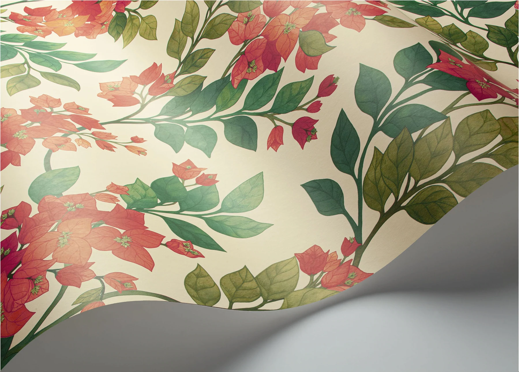 Bougainvillea Tapete - 117/6016 - Cole&Son - Seville-117-6016-Cole&Son-Seville Bougainvillea Tapete - 117/6016 - Cole&Son - Seville von Cole&Son aus der Kategorie Seville mit der Artikelnummer 117-6016