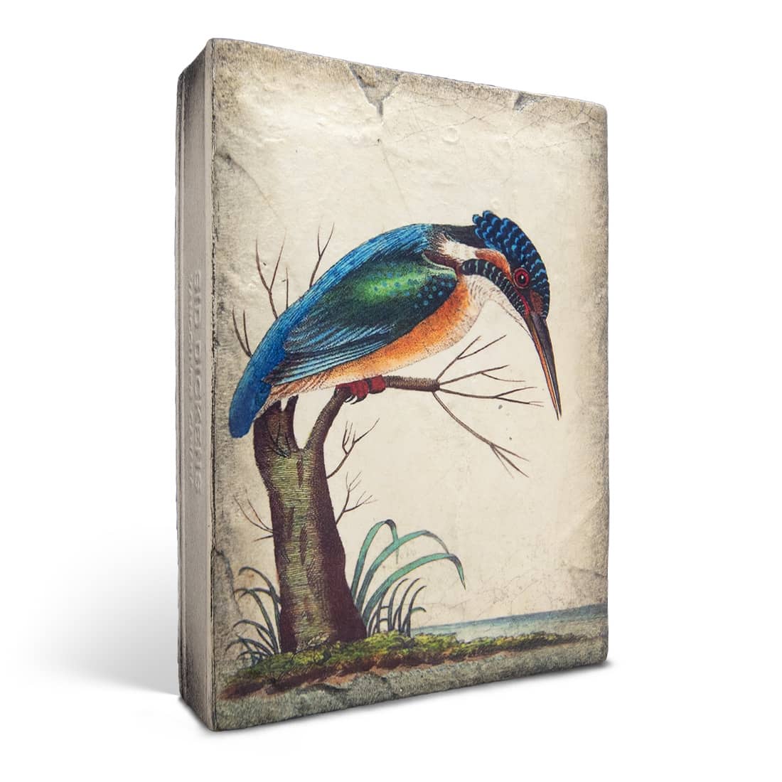 T599 - Kingfisher - Memory Block Sid Dickens von Sid Dickens aus der Kategorie 2023 - Paradise mit der Artikelnummer T599