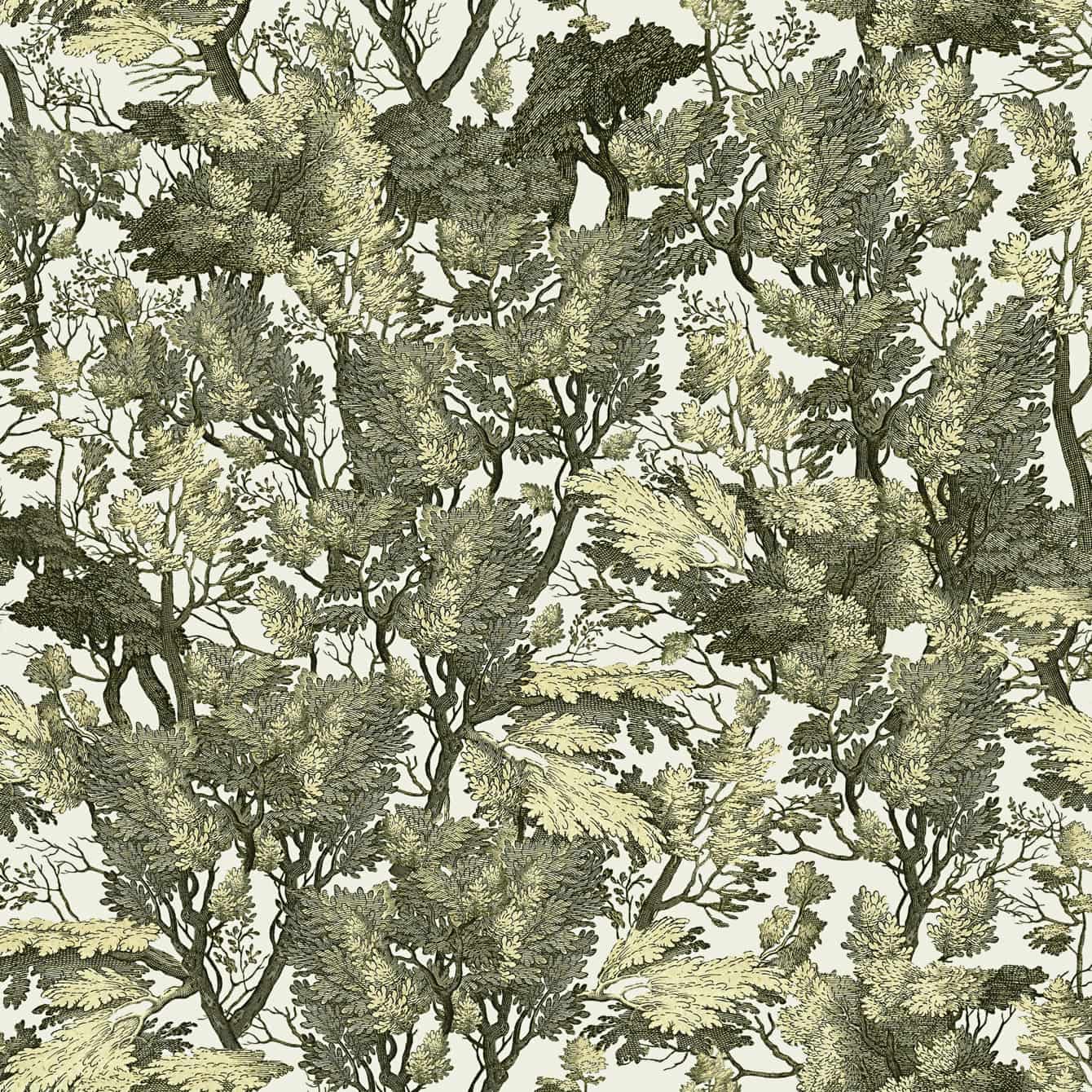 Tapete TREE FOLIAGE von MINDTHEGAP aus der Kategorie MIND THE GAP mit der Artikelnummer WP20481