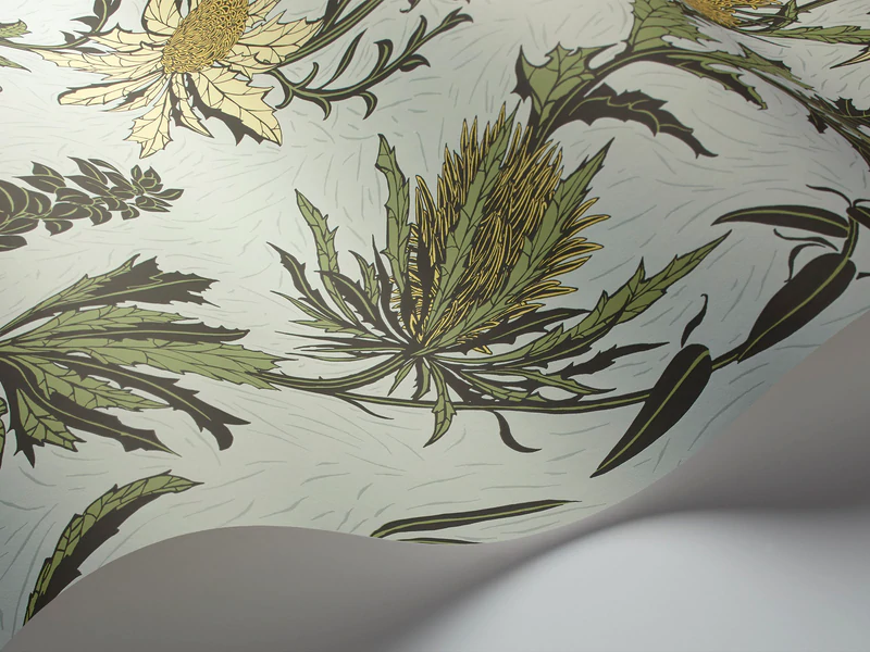 Thistle Tapete - 115/14042 - Cole&Son - Botanical ~Botanica~ von Cole&Son aus der Kategorie Botanical Botanica mit der Artikelnummer 115-14042